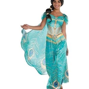Princess Jasmine From Aladdin Adult Costume